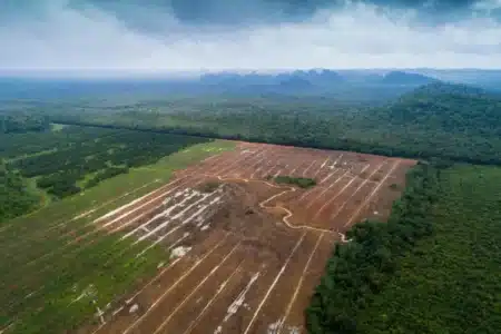 Jusqu’à +4 °C et 25 % de pluie en moins : l’Amazonie entre dans une zone rouge