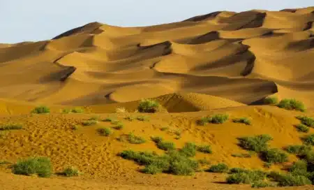 La Chine défie la nature : ce désert aride renaît grâce à des microbes ancestraux