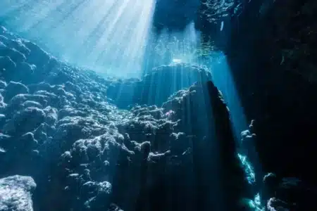 Ce “Grand Canyon” caché sous l’eau pourrait bouleverser notre vision des fonds marins