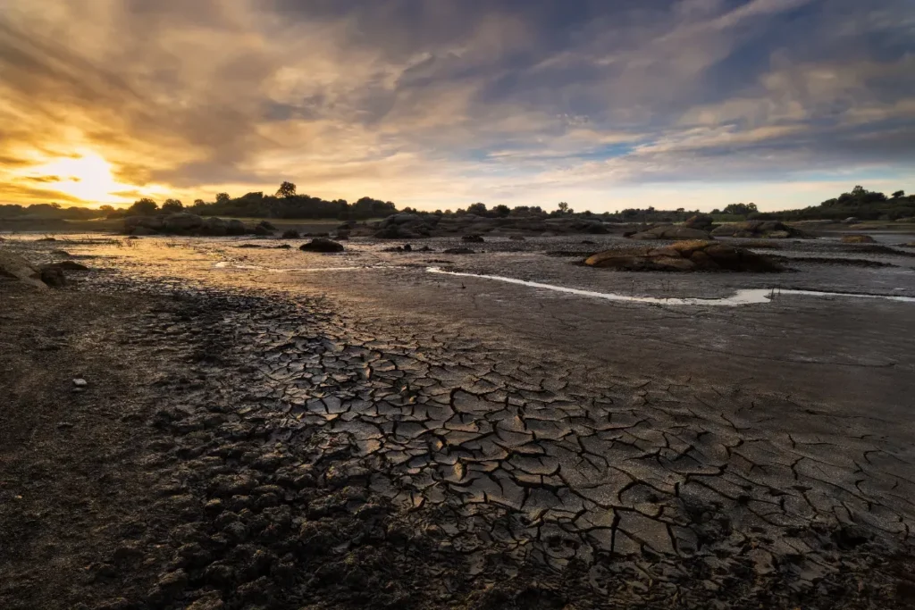 “Ils n’avaient jamais vu ça” : la mer Baltique se transforme en désert