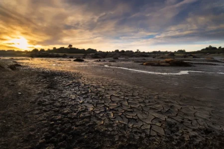 “Ils n’avaient jamais vu ça” : la mer Baltique se transforme en désert