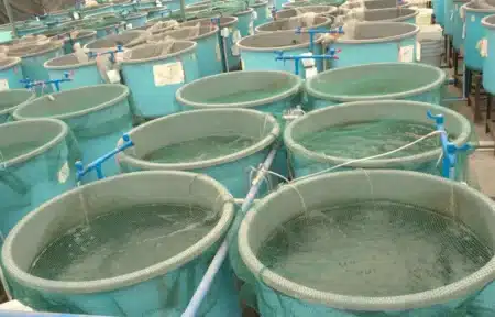 Cette découverte inquiétante montre comment le plastique dérègle gravement les écosystèmes aquatiques