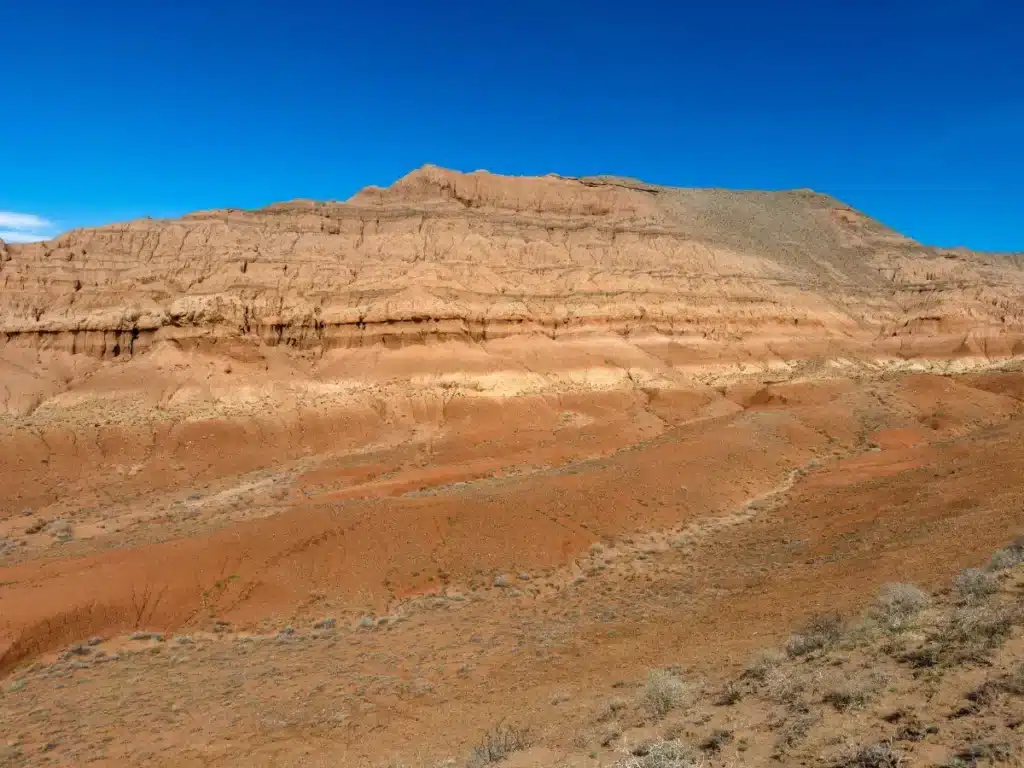 La Chine a planté des milliards d’arbres… et le climat en paie déjà le prix