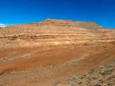 La Chine a planté des milliards d’arbres… et le climat en paie déjà le prix
