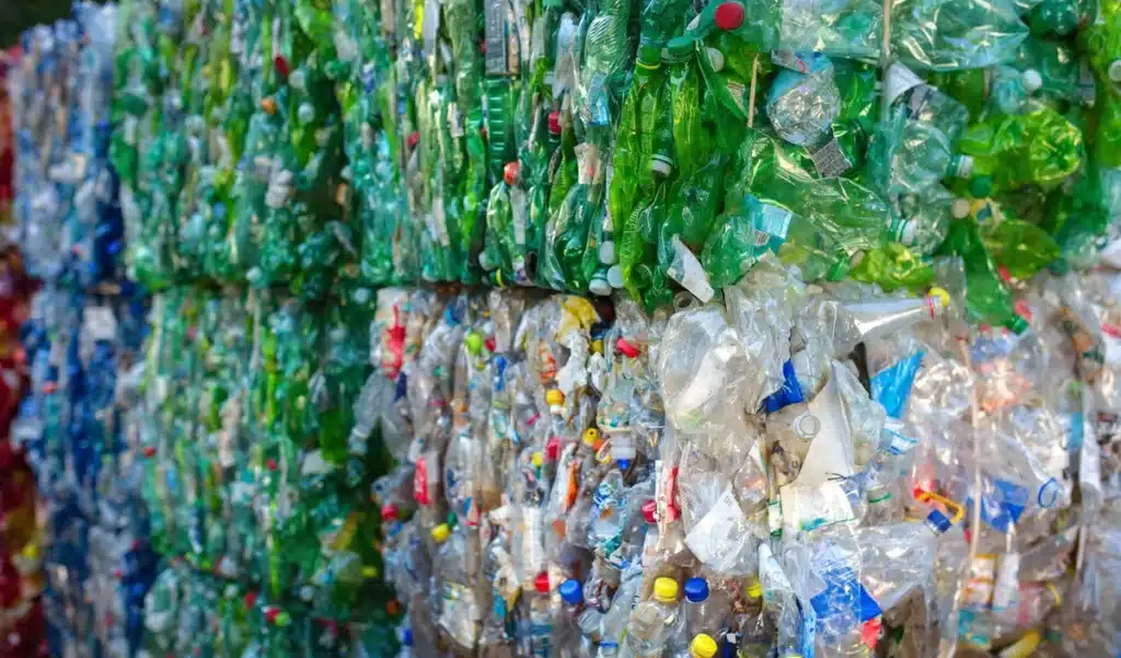 Bouteilles en plastique : ce réflexe quotidien doit être stoppé tout de suite