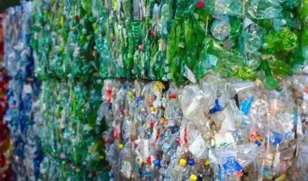 Bouteilles en plastique : ce réflexe quotidien doit être stoppé tout de suite