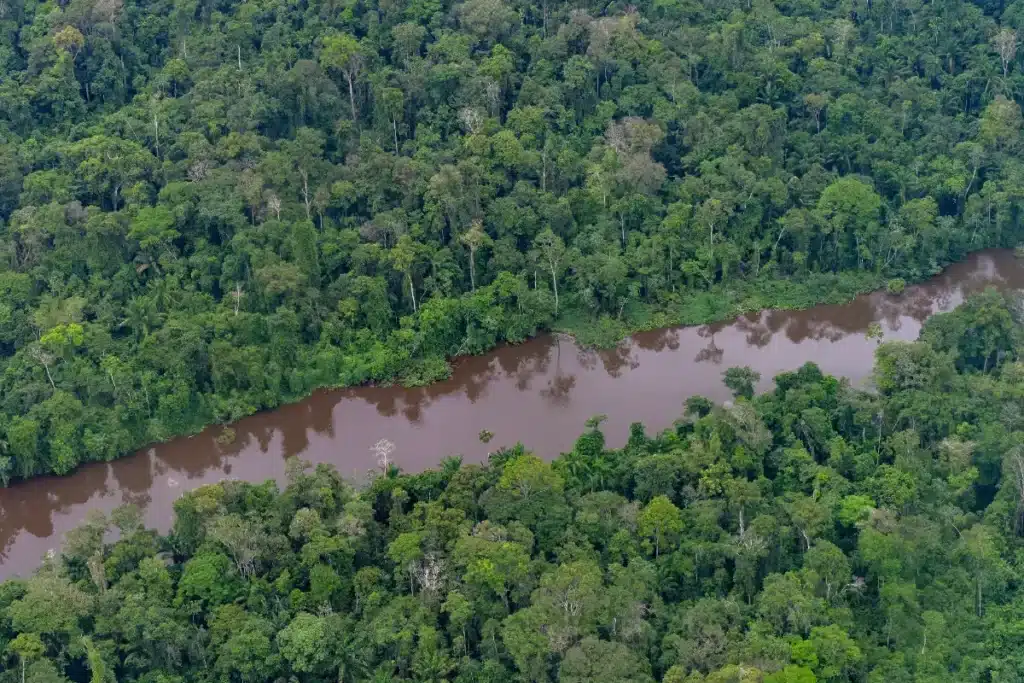 Révélation alarmante : les lacs Blackwater du Congo émettent du carbone enfoui depuis des siècles