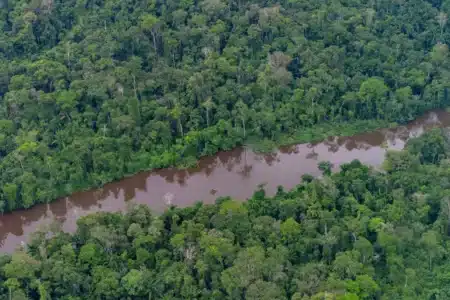 Révélation alarmante : les lacs Blackwater du Congo émettent du carbone enfoui depuis des siècles