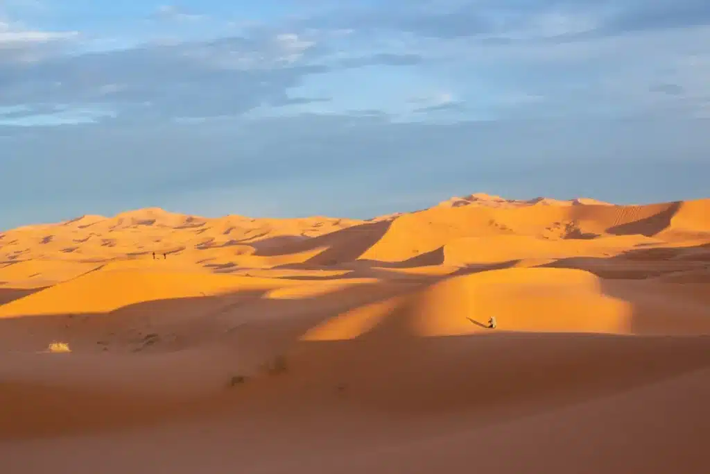 La Chine défie l’impensable : des poissons élevés au cœur du désert le plus redouté