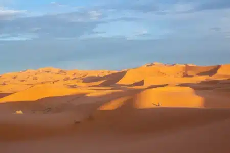 La Chine défie l’impensable : des poissons élevés au cœur du désert le plus redouté