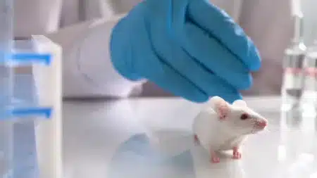 Clonage infini : cette expérience sur 20 ans révèle une limite que personne n’attendait