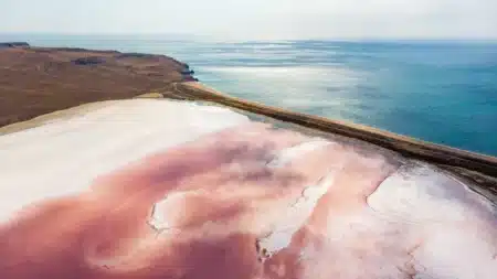 Personne ne l’avait jamais vu : un étrange animal découvert dans un lac mythique