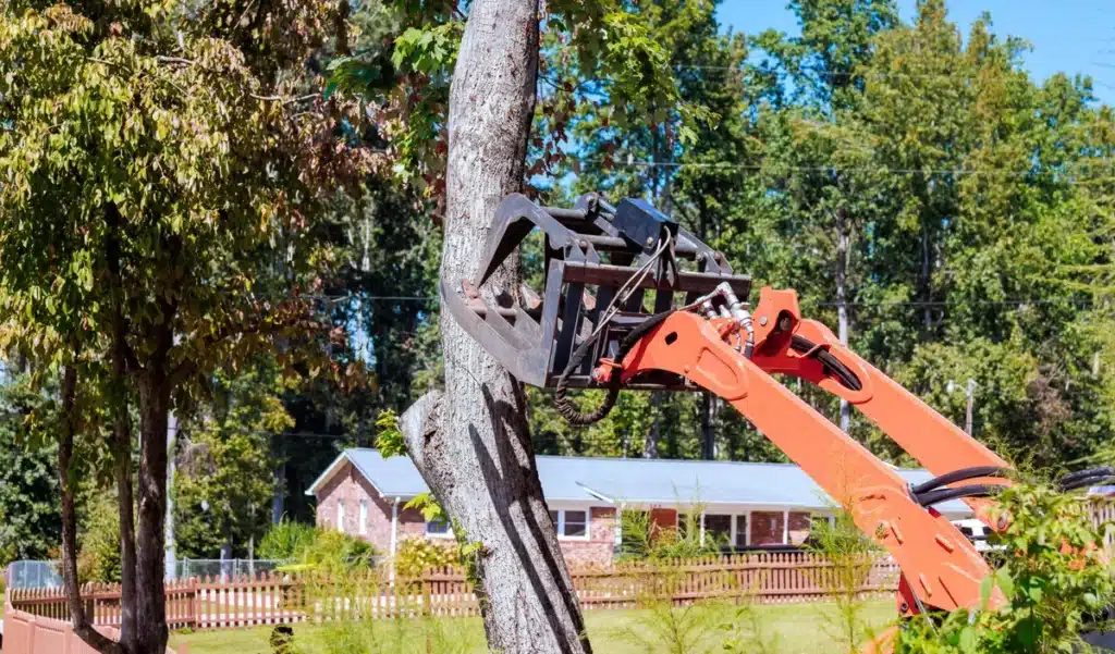 L’image choque à Royan : une centaine d’arbres abattus, la plage grignotée par la mer