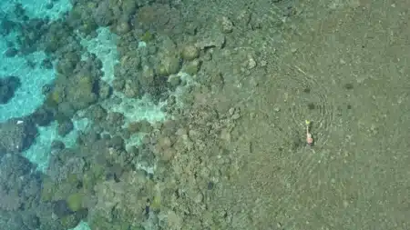 Un “chemin de briques jaunes” au fond de l’océan : la découverte qui intrigue les scientifiques