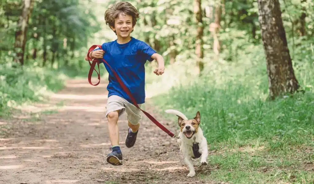 Un garçon suit son chien dans un trou… et tombe sur un trésor vieux de 17 000 ans