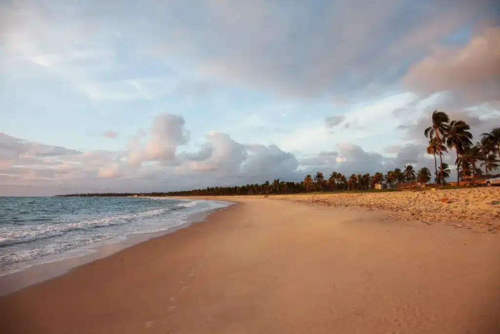 Guadeloupe : la plage dévoile peu à peu des ossements d’esclaves enfouis depuis des siècles