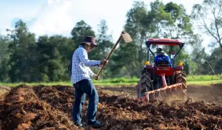 Votre potager pourrait en souffrir : pourquoi retourner la terre au printemps est une erreur