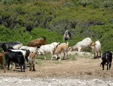 Condamnés d’avance, elles ont pourtant survécu : une énigme que la science peine à expliquer