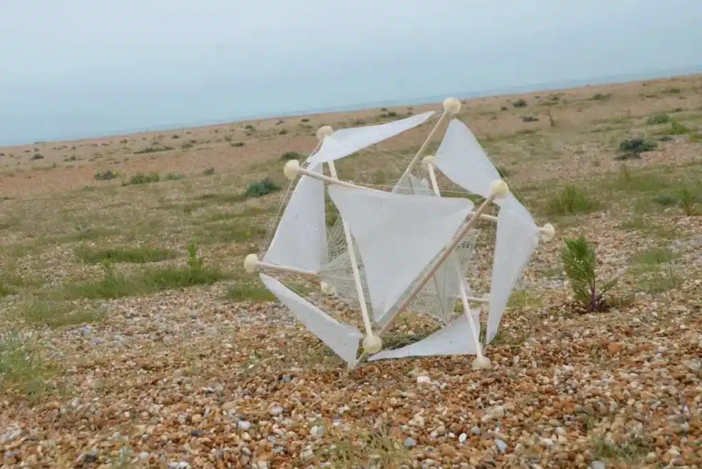 Cette conceptrice chinoise a inventé une simple boule qui roule dans le désert poussée par le vent : elle sème des graines toute seule