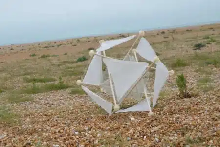 Cette conceptrice chinoise a inventé une simple boule qui roule dans le désert poussée par le vent : elle sème des graines toute seule