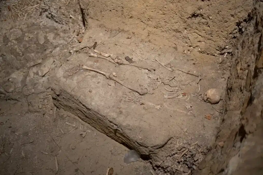 Cette tombe de femme vieille de 3 000 ans en Tchétchénie cachait un trésor que les archéologues n'espéraient plus trouver