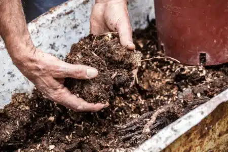 Compost : ce geste banal qui transforme vos déchets en or pour votre jardin