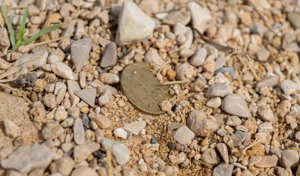 Des ouvriers creusent sous une autoroute en construction et tombent sur des centaines de trésors en or : « on n'en croyait pas nos yeux »