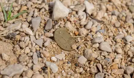 Des ouvriers creusent sous une autoroute en construction et tombent sur des centaines de trésors en or : « on n'en croyait pas nos yeux »