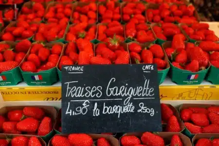 Ce qui distingue vraiment une fraise française d'une fraise espagnole surprend les consommateurs