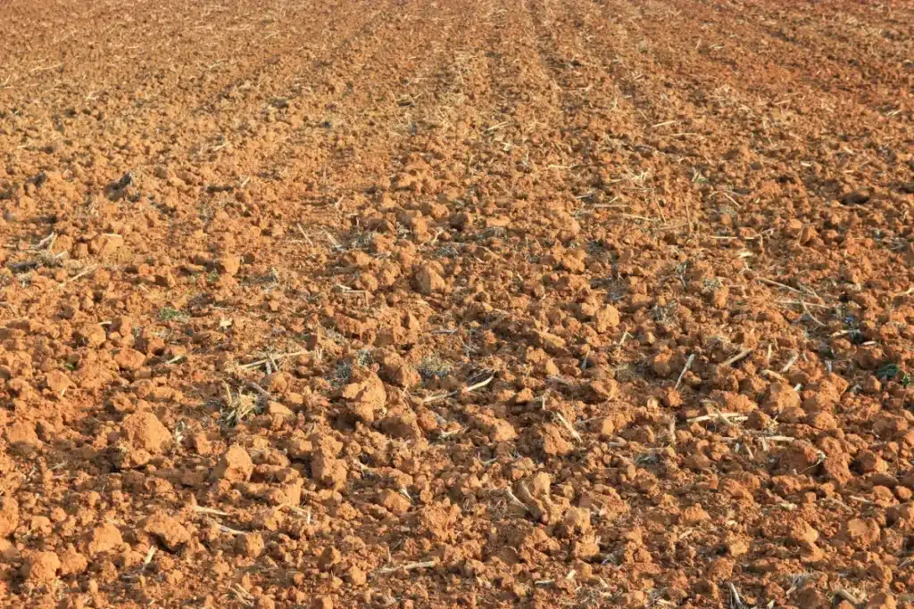 Des images satellites le prouvent : le Maroc n'avait pas été aussi vert depuis dix ans, et les agriculteurs locaux n'en reviennent pas