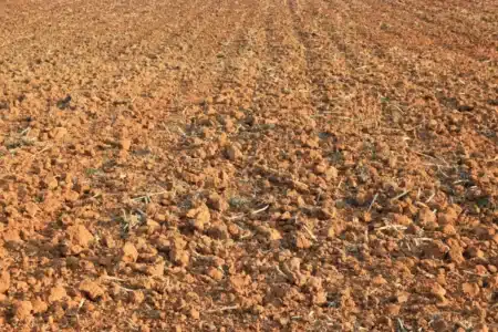 Des images satellites le prouvent : le Maroc n'avait pas été aussi vert depuis dix ans, et les agriculteurs locaux n'en reviennent pas