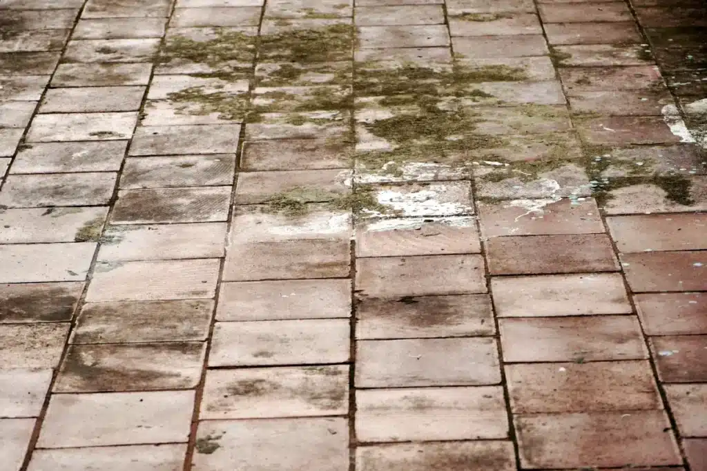 Pourquoi de plus en plus de propriétaires rangent leur Kärcher au garage : un simple ustensile de cuisine élimine la mousse de votre terrasse pour de bon
