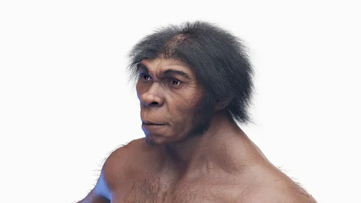 Les scientifiques pensaient savoir où l'Homo sapiens est né : de nouveaux fossiles et données climatiques racontent une tout autre histoire