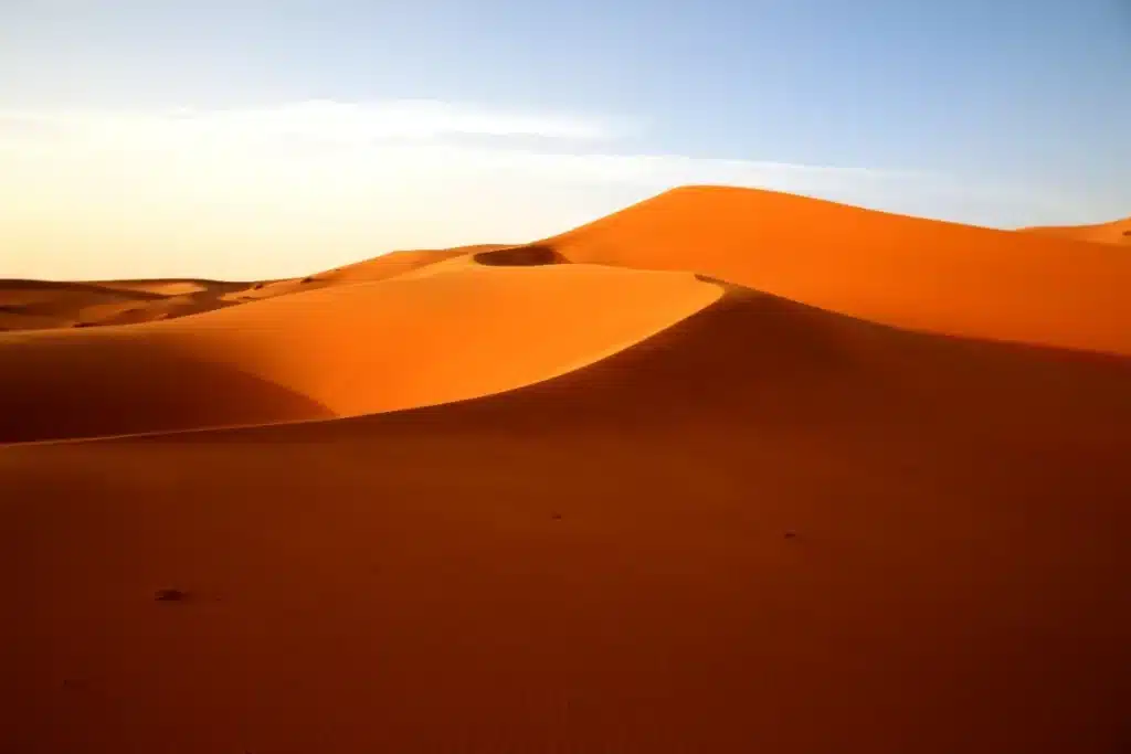 Ils ont lâché des millions d'abeilles pour stopper le Sahara : les ruches ont implosé à 70 °C, la vraie solution était sous leurs pieds