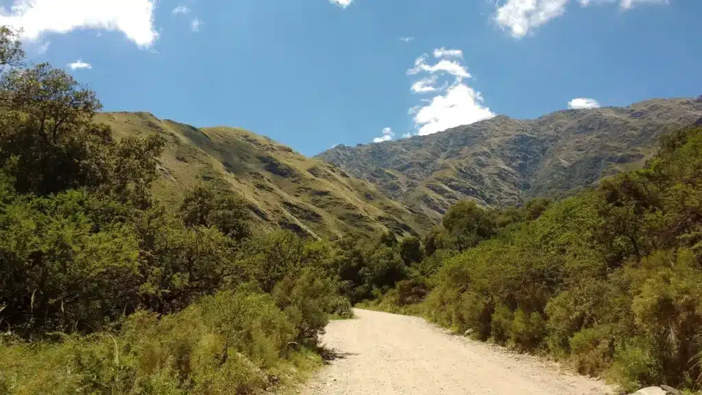Une province entière décide de réorienter ses cours d'eau pour sauver ses lacs : les biologistes n'avaient jamais vu ça à cette échelle
