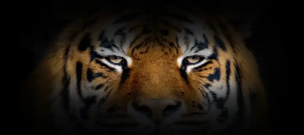 Cette caméra reproduit la vision des animaux et révèle des couleurs que l'œil humain n'a jamais perçues : les biologistes n'en reviennent pas