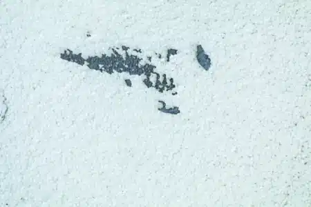 Sept conteneurs oubliés sur la glace antarctique dérivent désormais sur un iceberg : l'équipage du RV Polarstern n'a rien pu faire
