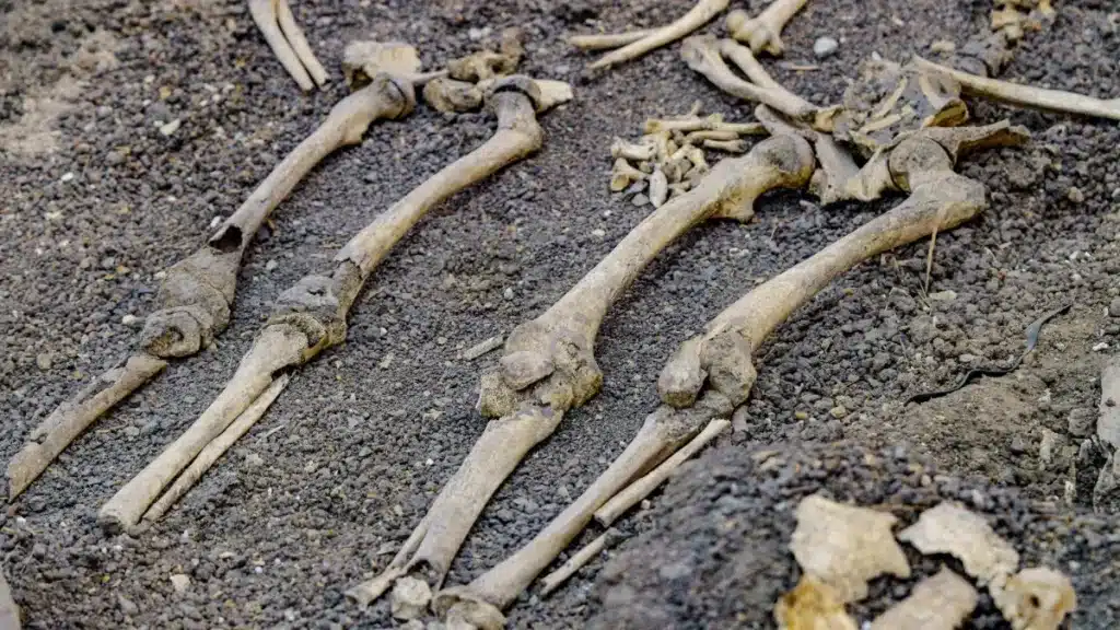 Des archéologues ouvrent le sol sous l'ancien Debenhams de Gloucester : 317 squelettes les attendaient depuis des siècles