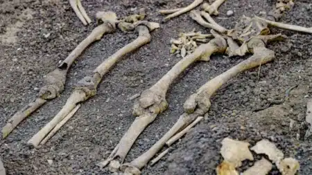 Des archéologues ouvrent le sol sous l'ancien Debenhams de Gloucester : 317 squelettes les attendaient depuis des siècles