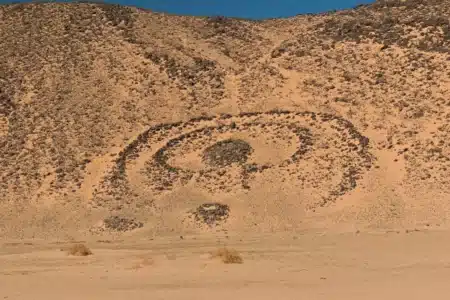 Les satellites ont repéré 280 cercles de pierre cachés en plein Sahara : les archéologues n'avaient jamais regardé cette région jusqu'ici