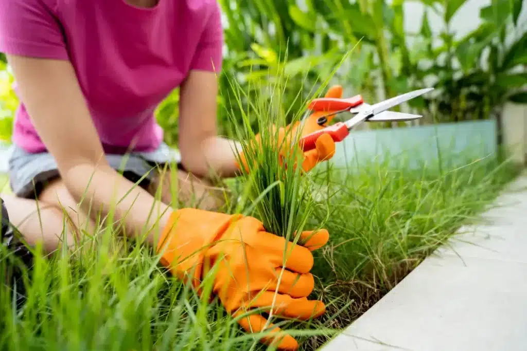 Des milliers de Français l'utilisent encore au jardin sans le savoir : ce produit interdit depuis 2019 peut leur valoir une lourde amende