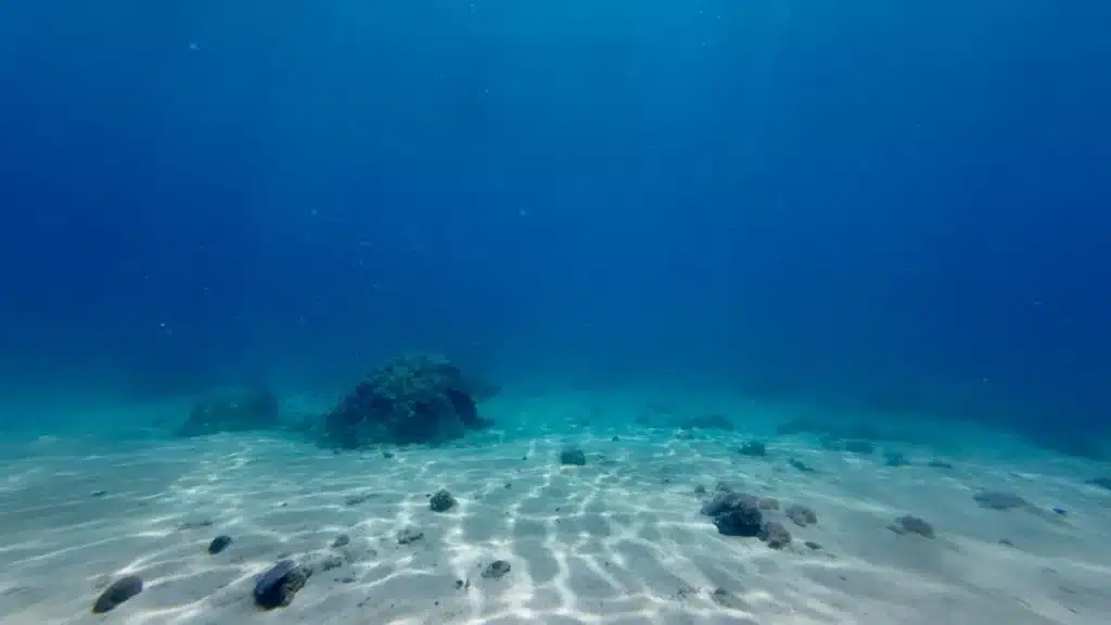 Vanguard : cette base sous-marine de 45 m² à 20 m de profondeur accueillera des visiteurs pendant une semaine