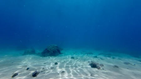 Vanguard : cette base sous-marine de 45 m² à 20 m de profondeur accueillera des visiteurs pendant une semaine