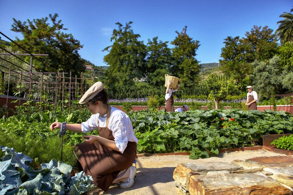 Jardin Six Sense