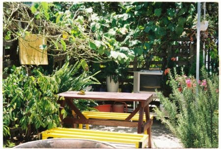 L'entreprise Truffaut crée un jardin thérapeutique à l’Institut Curie