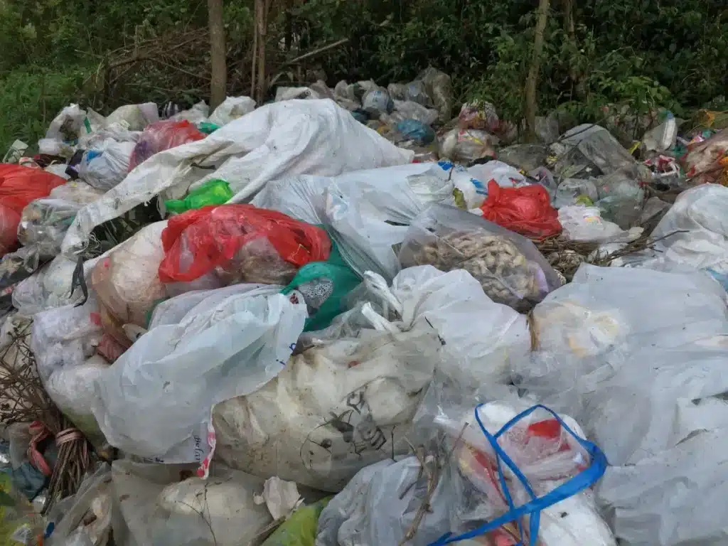 Pourquoi un autodidacte de 21 ans réussit ce que les industriels du recyclage échouent à faire depuis des années