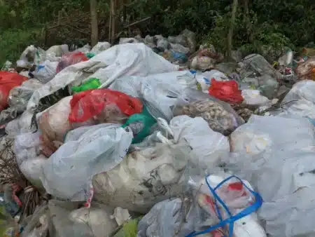 Pourquoi un autodidacte de 21 ans réussit ce que les industriels du recyclage échouent à faire depuis des années