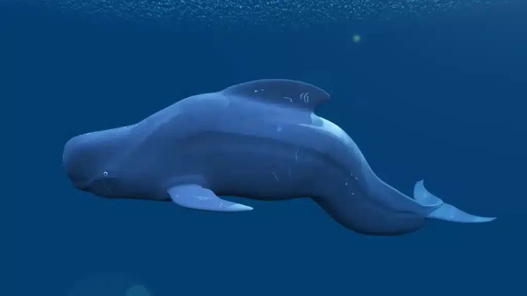 Des paléontologues découvrent une baleine miniature en plein désert égyptien : elle nageait là il y a 41 millions d'années