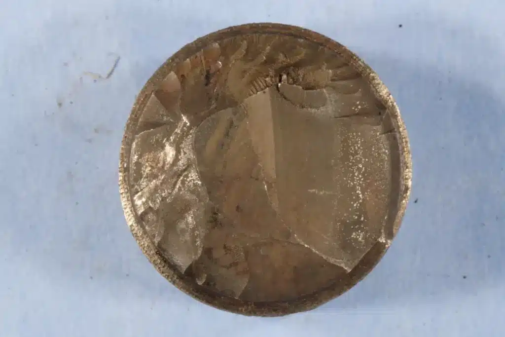 Un garçon de 13 ans déterre une pièce de bronze dans un champ berlinois : les archéologues confirment le premier artefact grec antique jamais trouvé à Berlin