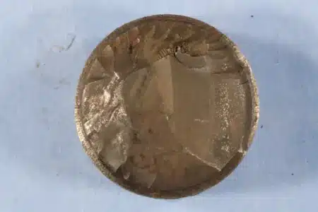 Un garçon de 13 ans déterre une pièce de bronze dans un champ berlinois : les archéologues confirment le premier artefact grec antique jamais trouvé à Berlin